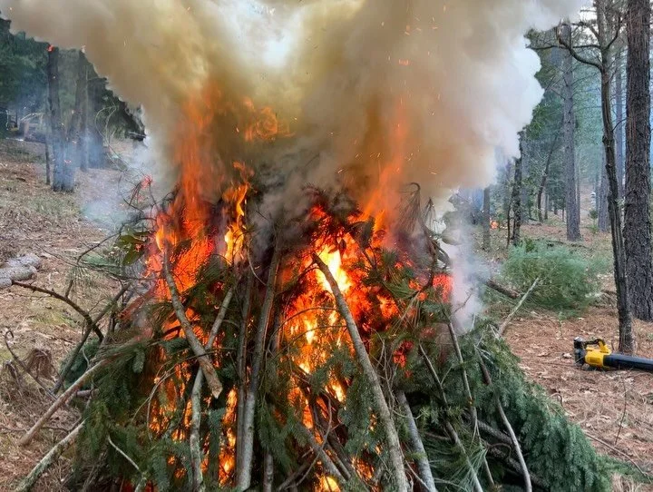 First burn of the season for CMAEP! A full day of cutting, stacking, hauling, and fire 🪵 🔥

These controlled burns mimic natural fire cycles that many forest ecosystems depend on. Thinning the forest gives the strongest trees more space, water, and