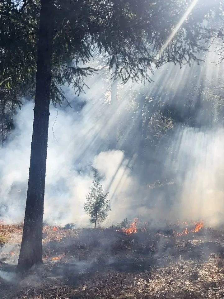 Some sweet shots of Monday&rsquo;s broadcast burn with @scottparady 🔥🌲 

These controlled burns mimic natural fire cycles that many forest ecosystems depend on. Thinning the forest gives the strongest trees more space, water, and light to grow heal