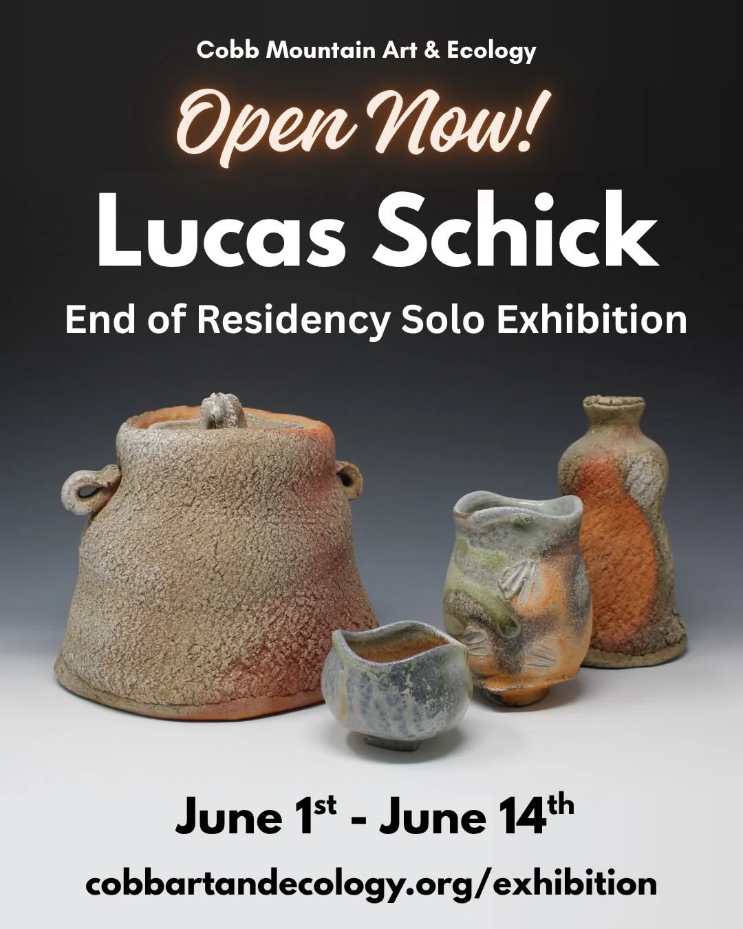 Open now through June 14th, CMAEP Online Gallery presents Lucas Schick&rsquo;s @sacredflamesart End of Residency Exhibition!

During his time here, Lucas has become a beloved member of the CMAEP community. He has graciously shared his wood-firing kno