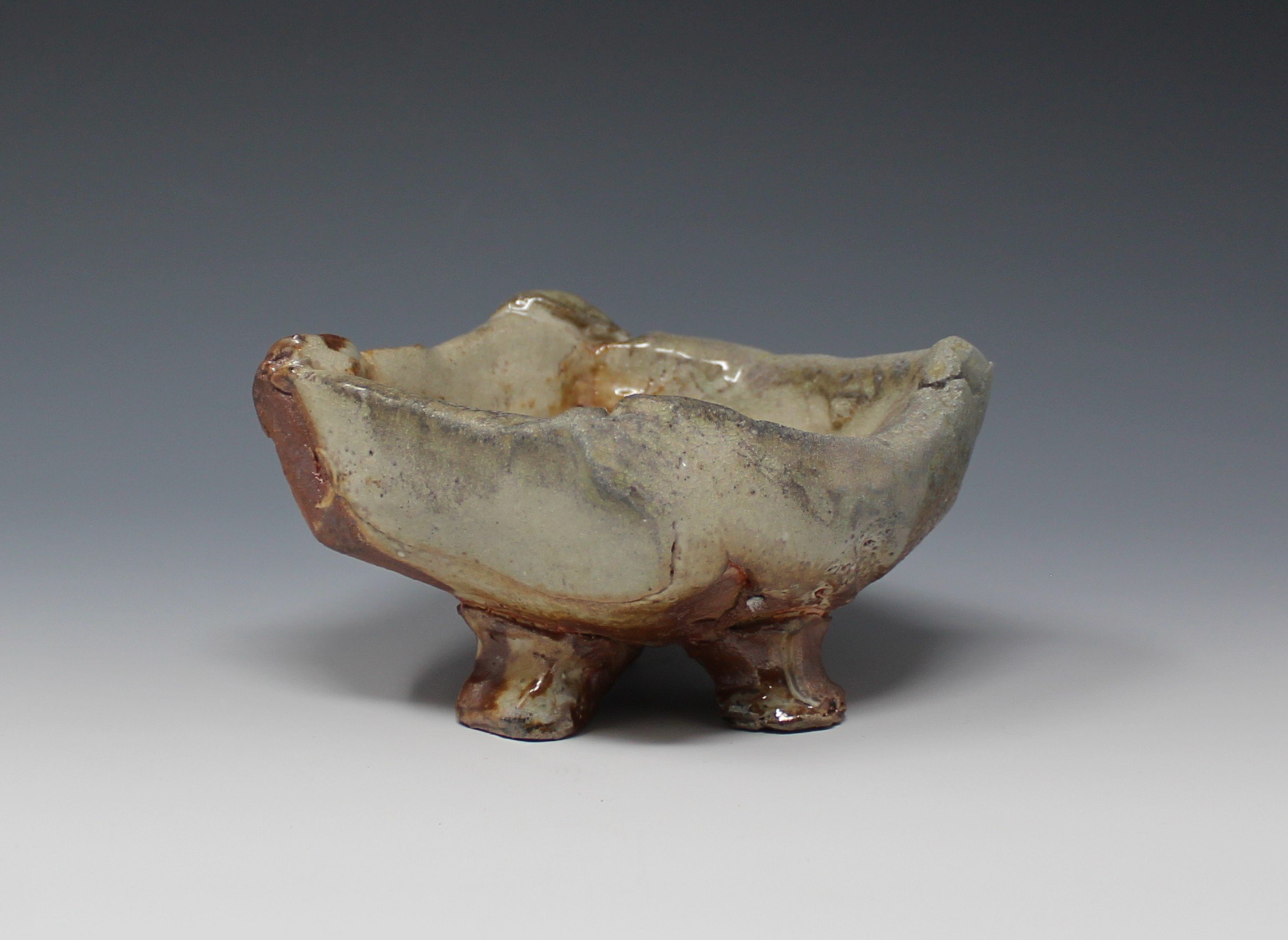 Deepa Bhandari - Bowl — Cobb Mountain Art and Ecology Project