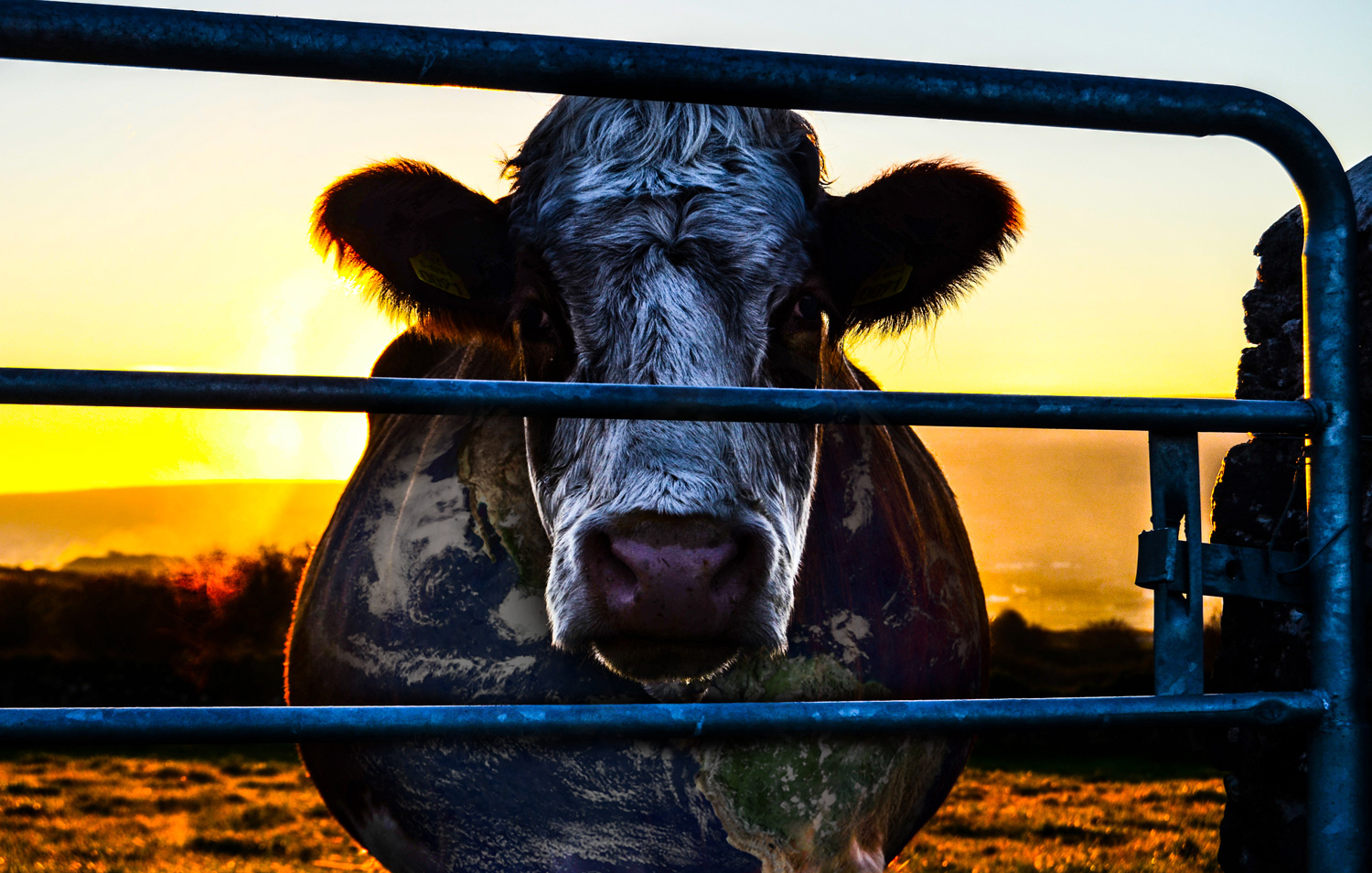 COWSPIRACY: The Sustainability Secret COWSPIRACY: The Sustainability Secret