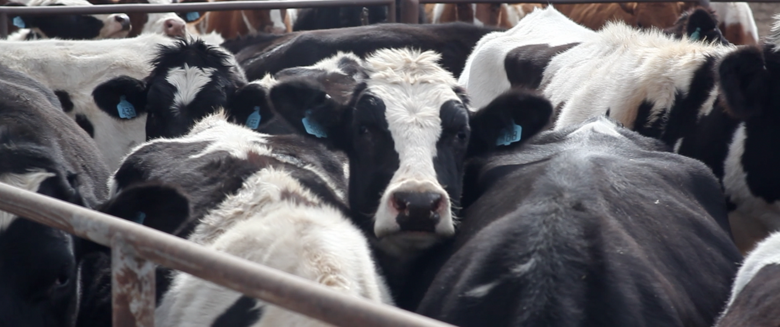 Screen Shot 2013-12-17 at 8.28.49 PM.png