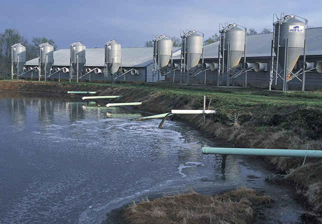Four Meat Giants Top List of Worst Water Polluters in U.S.