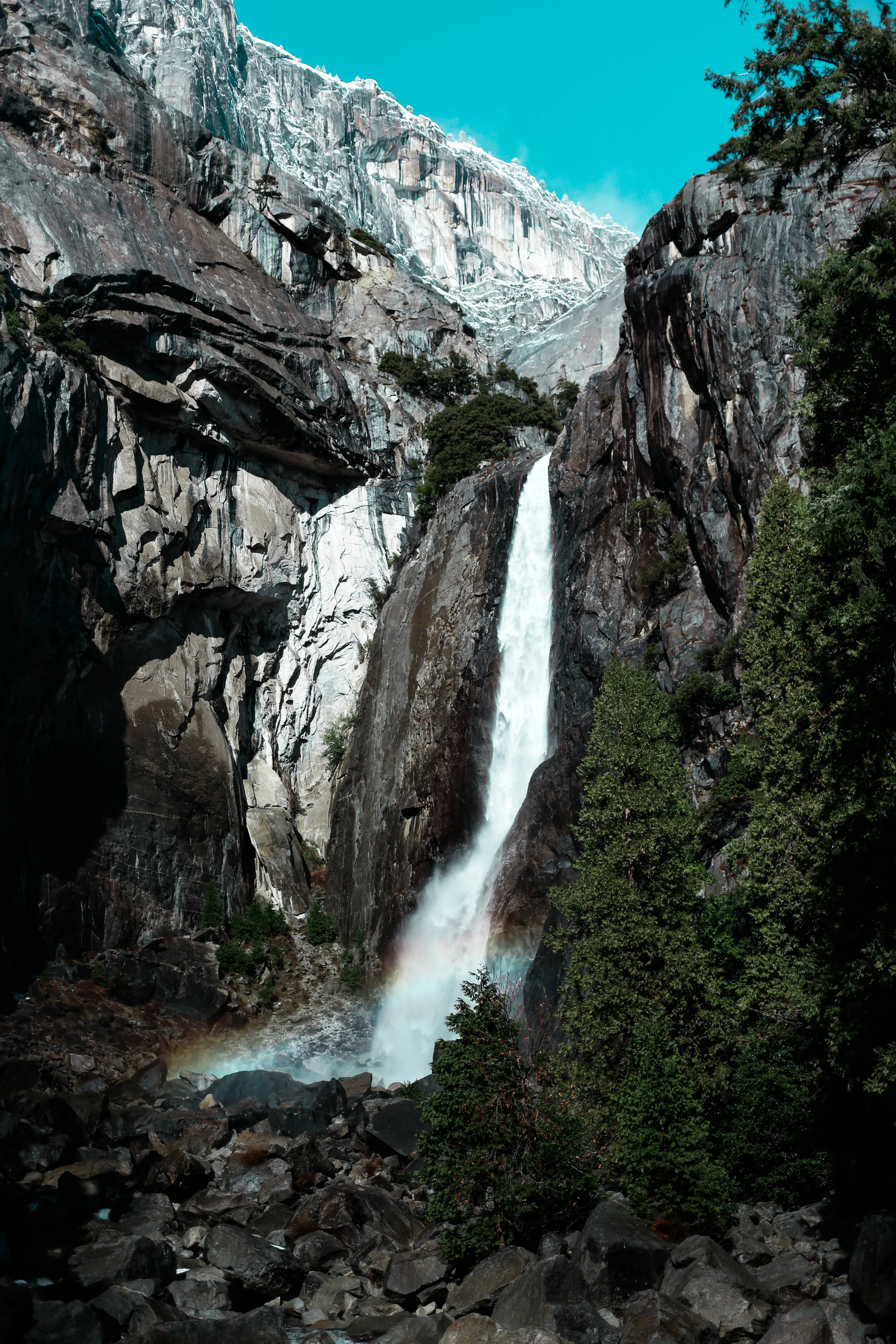 _MG_6262.jpg