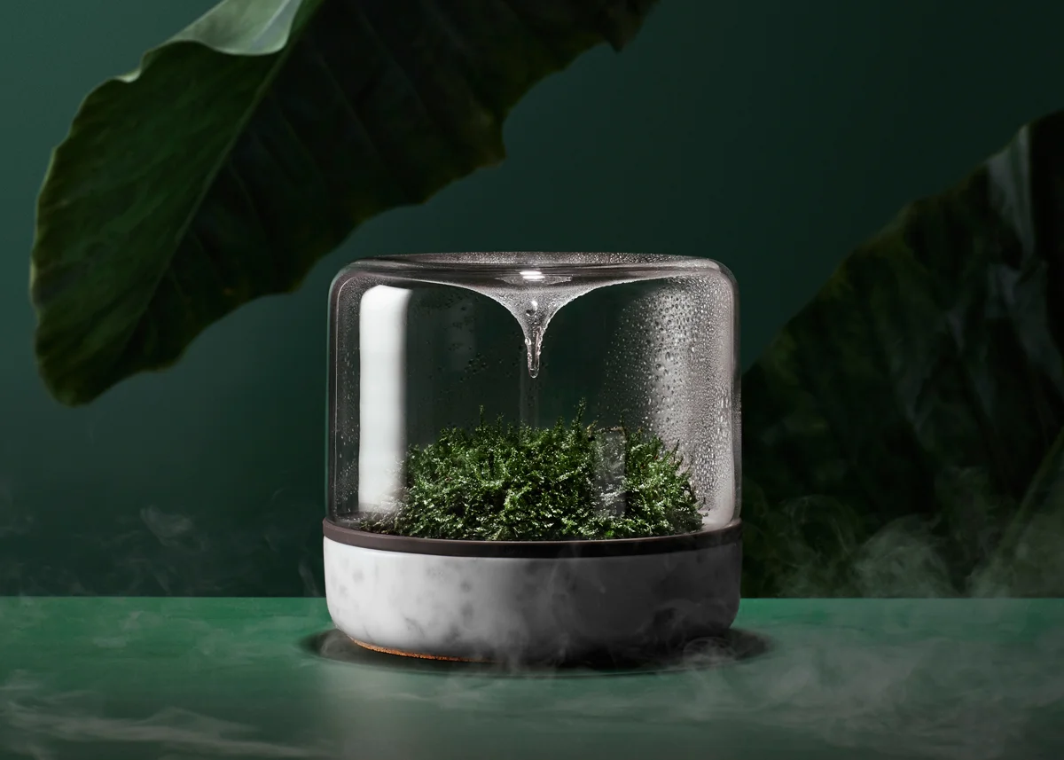 HERO_170116_Botanica_001.jpg