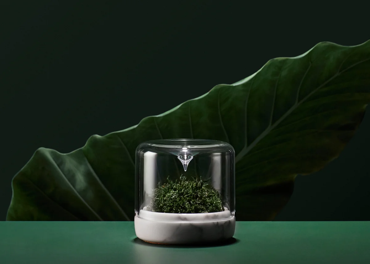HERO_170116_Botanica_002.jpg