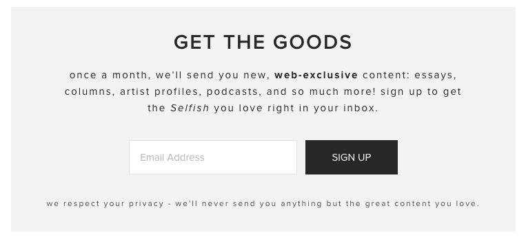 NEW NEWSLETTER!!!