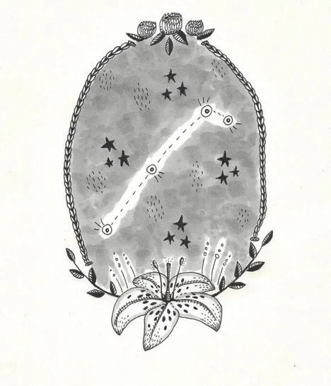 ARIES: stories from the stars with Taylor Evelyn