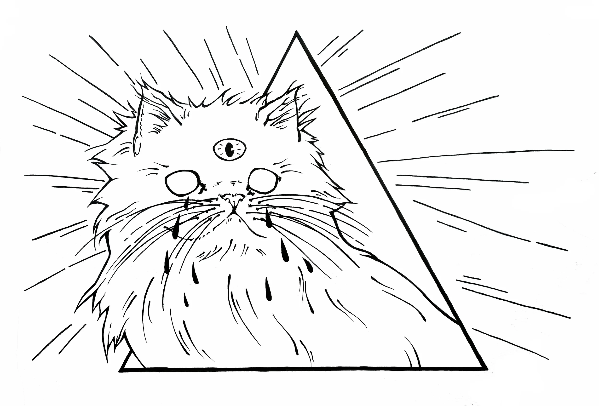 trianglecat666.jpg