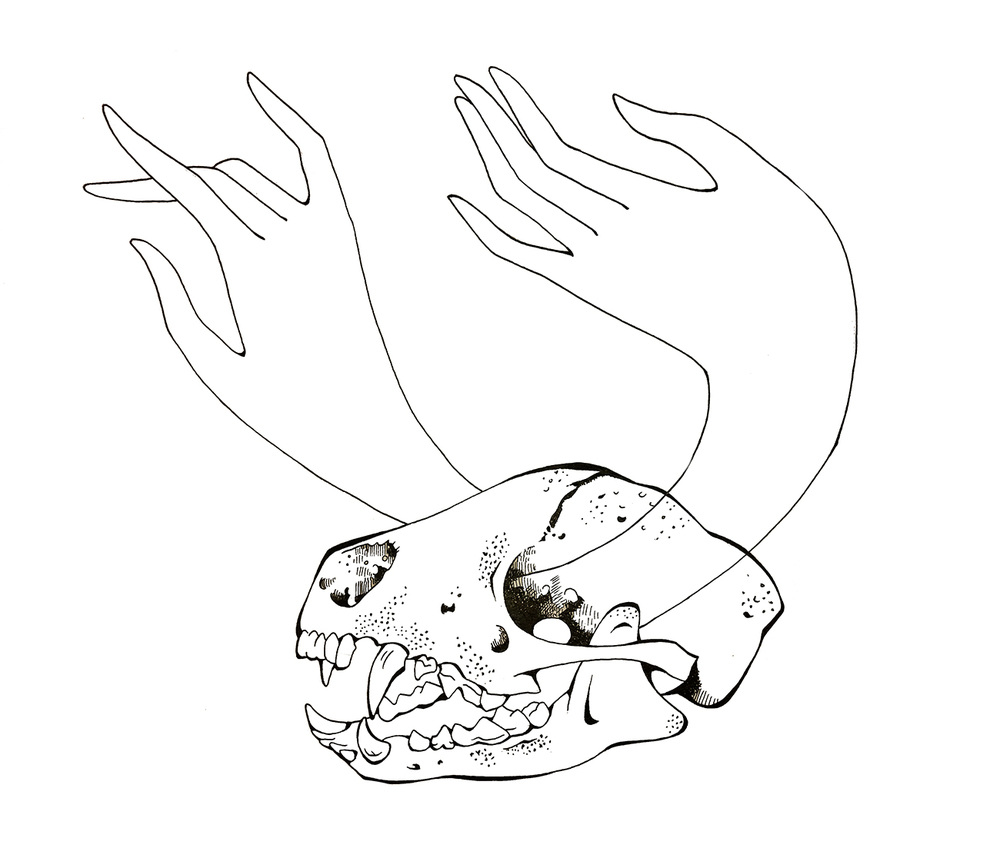 skullhand.jpg