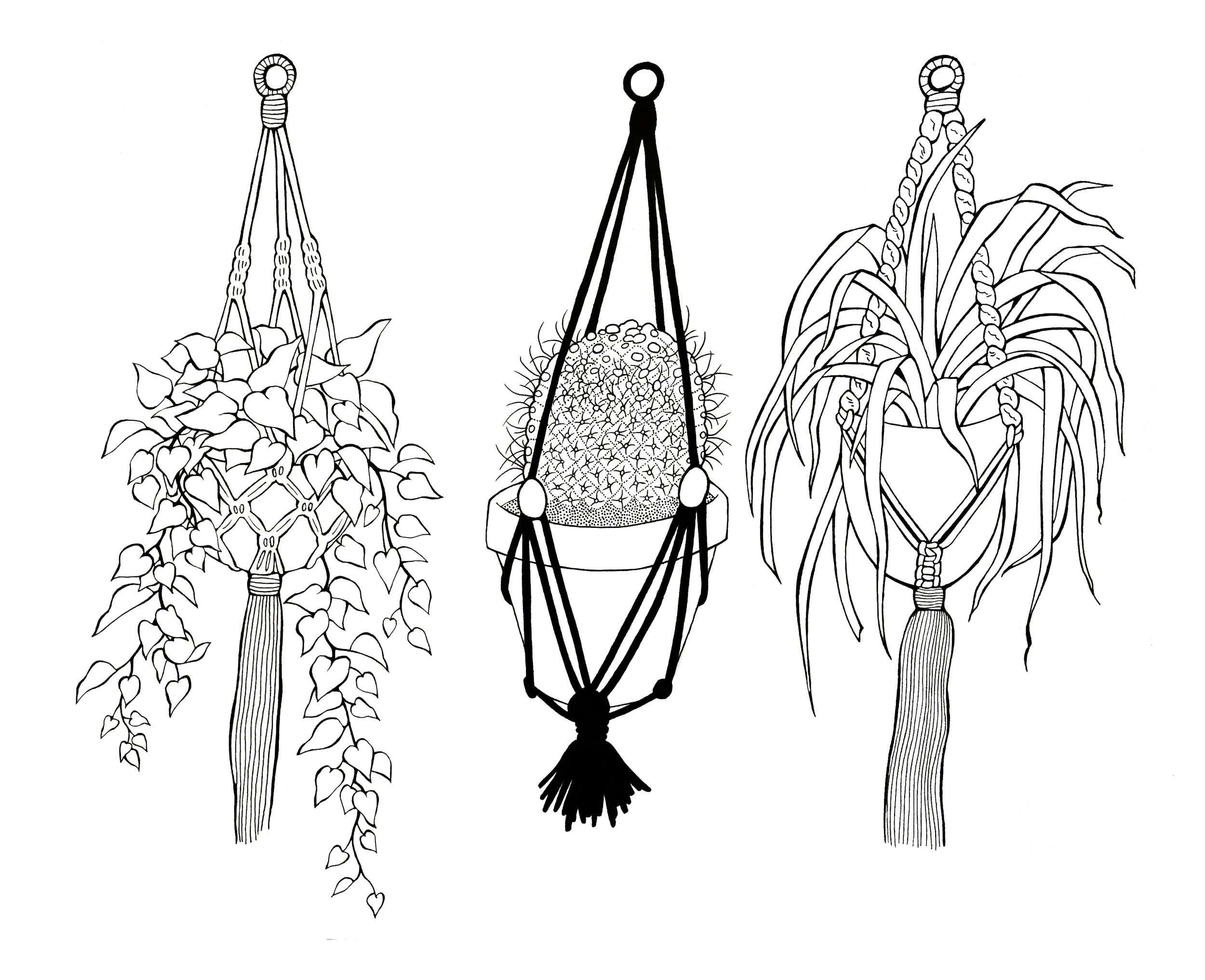 macrame.jpg