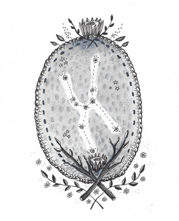 illo by Sara Kloskowski