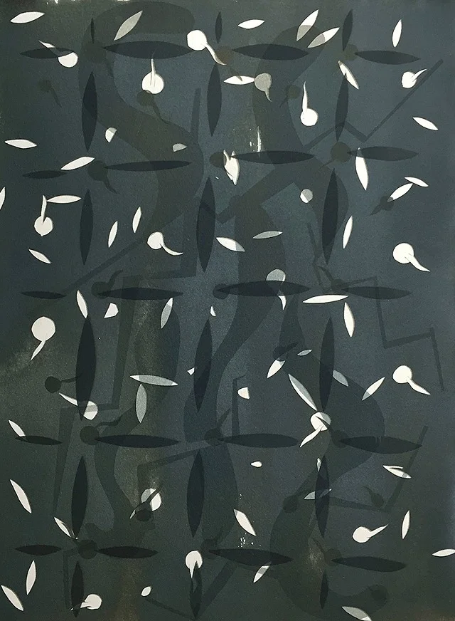Duvet. 2016. Toned Cyanotype. 11”x15”