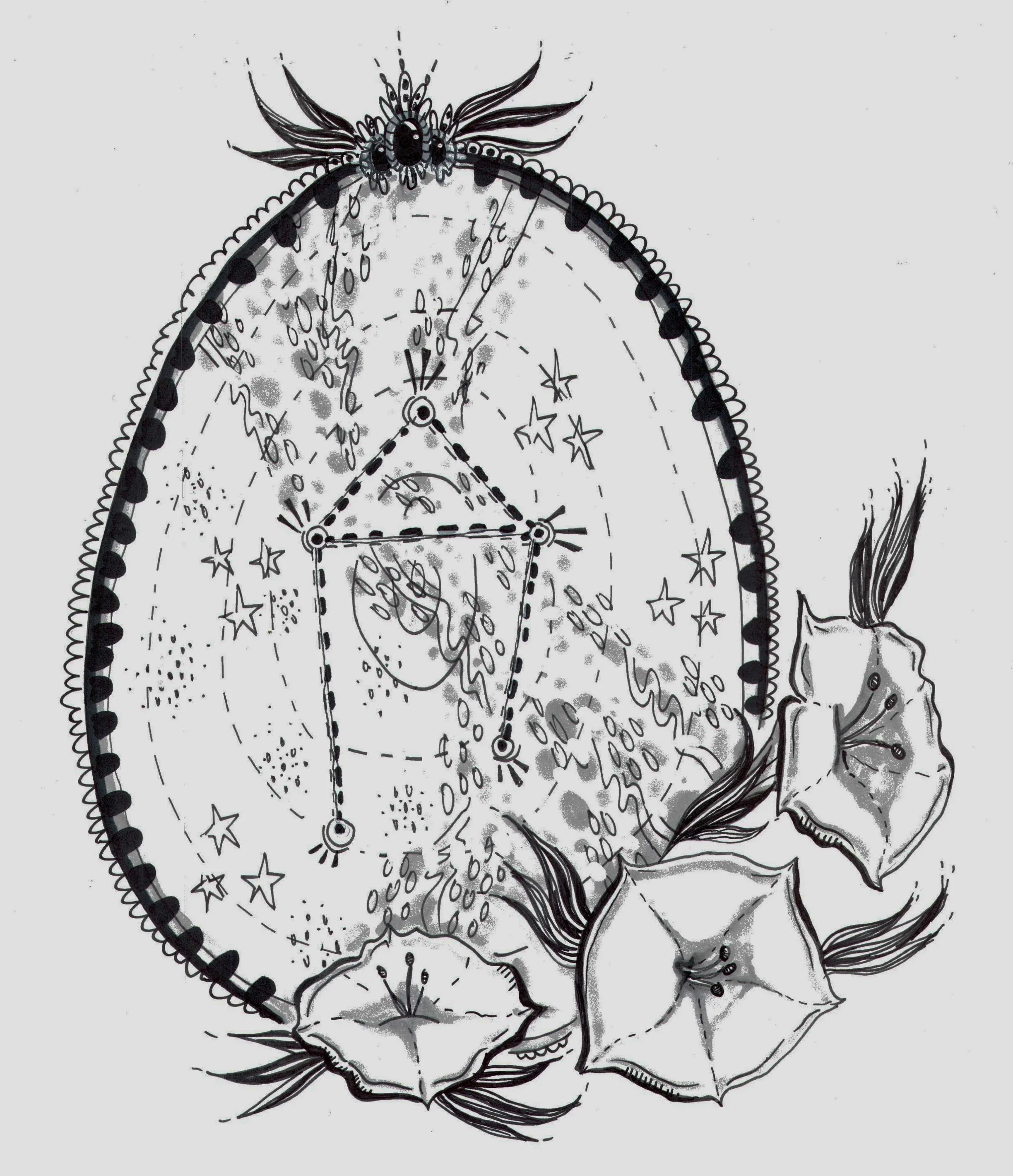 LIBRA: stories from the stars