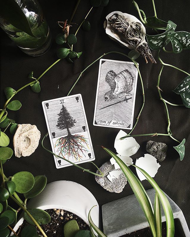 resident reader Erin Shipley (@etshipley) invites you to cut away the wounds that weigh you down as the sun joins our collective north node in Leo in this week's TAROTSCOPES 7/24 &ndash; 7/30 :: SON OF SWORDS &amp; VI OF CUPS

We all have a responsib