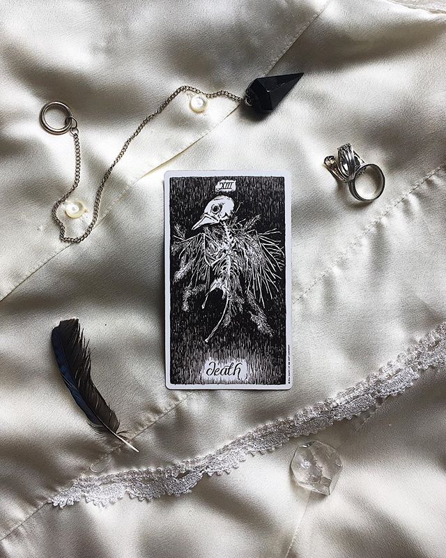 let go and get ready to open wide in beautiful soul Erin Shipley (@etshipley)'s TAROTSCOPES 8/7 &ndash; 8/13 :: XIII DEATH

The universe conspires to keep us on our windy, wily way to all it wishes for us. Often, life feels like a pattern of wild goo