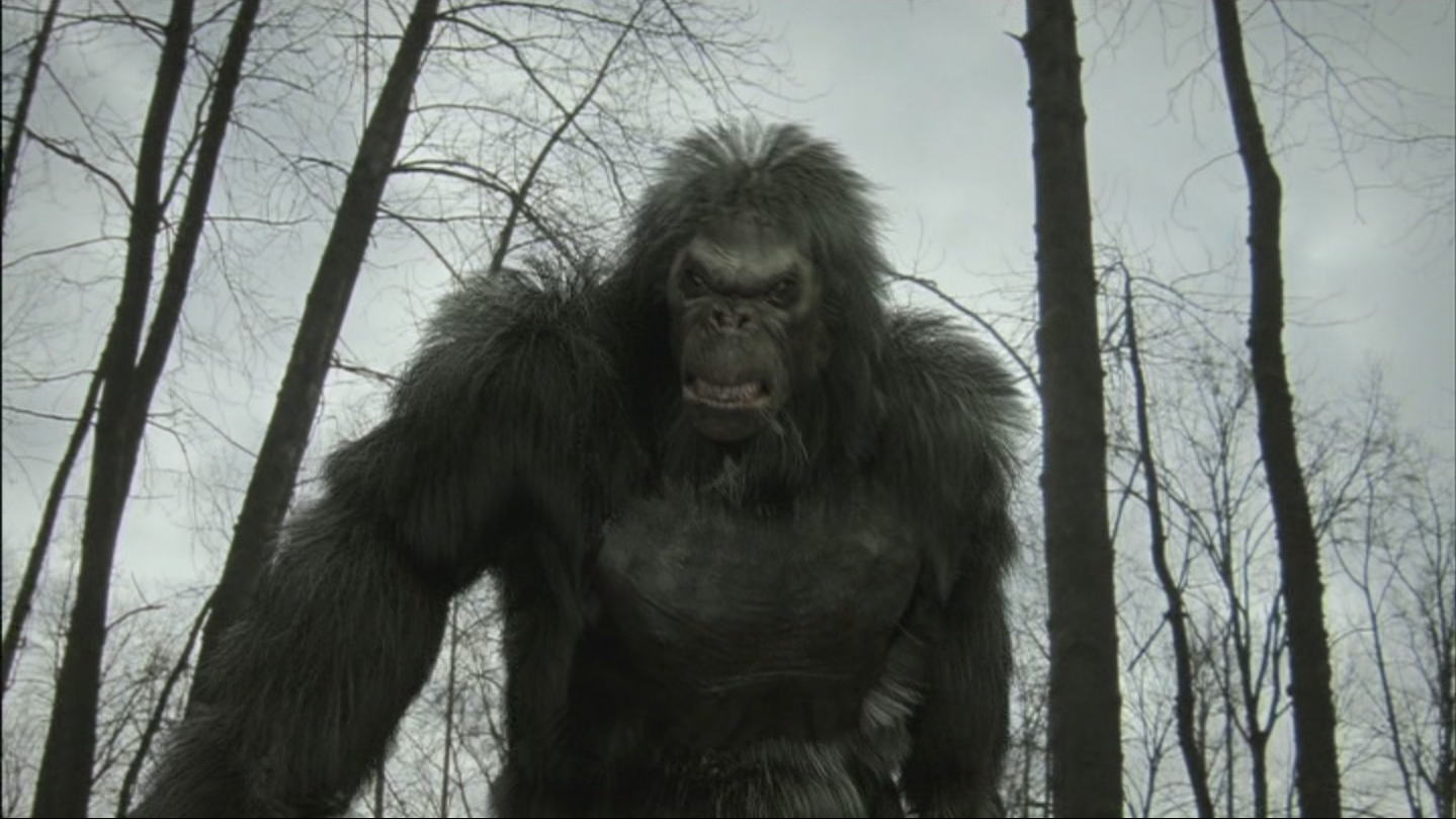 Bigfoot_DVD.png