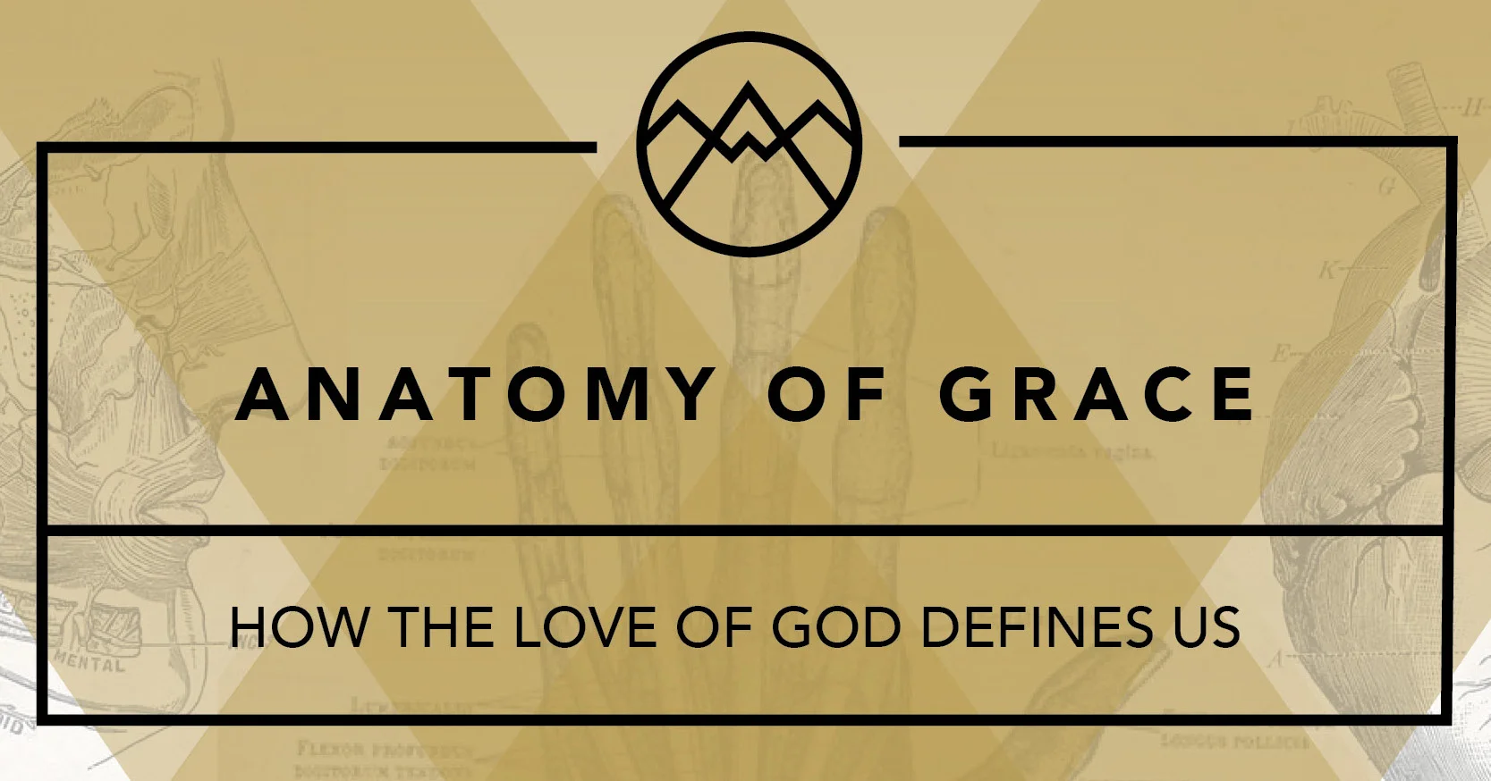 2018_GBS_sermons_Anatomy of Grace_1263x421pix.jpg