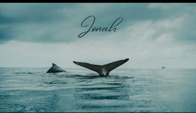Jonah 3-4