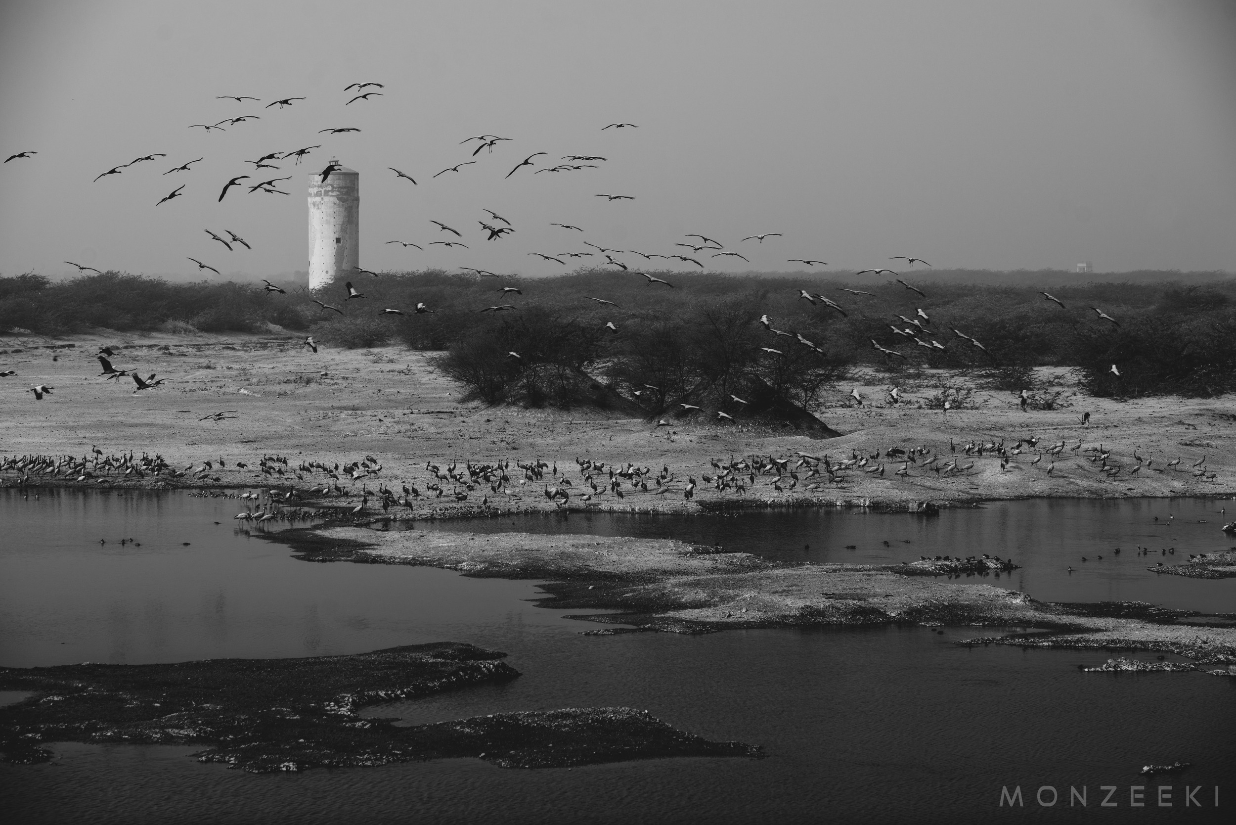 20150113-India-Jodhpur-2411.jpg