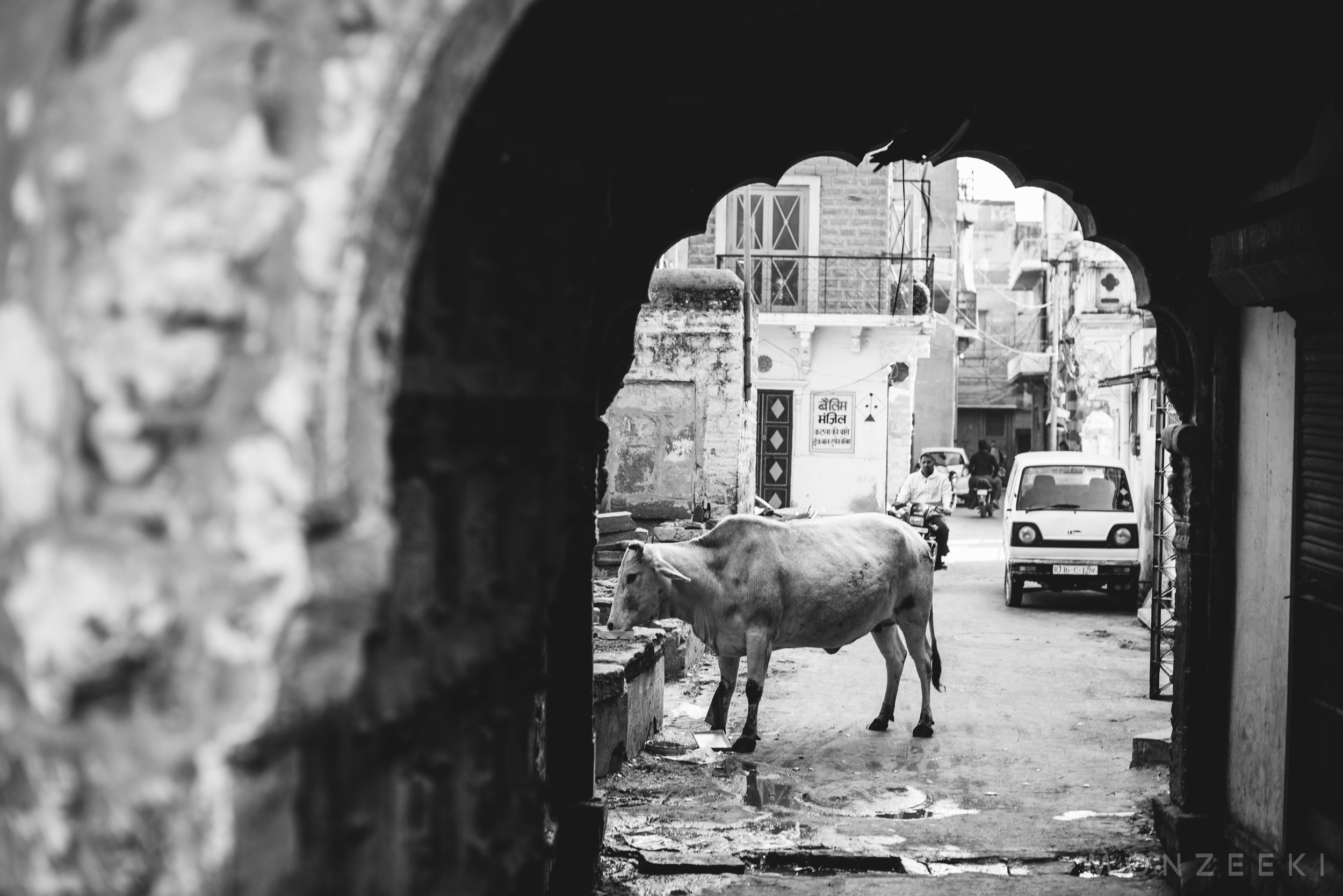 20150114-India-Jodhpur-2735.jpg