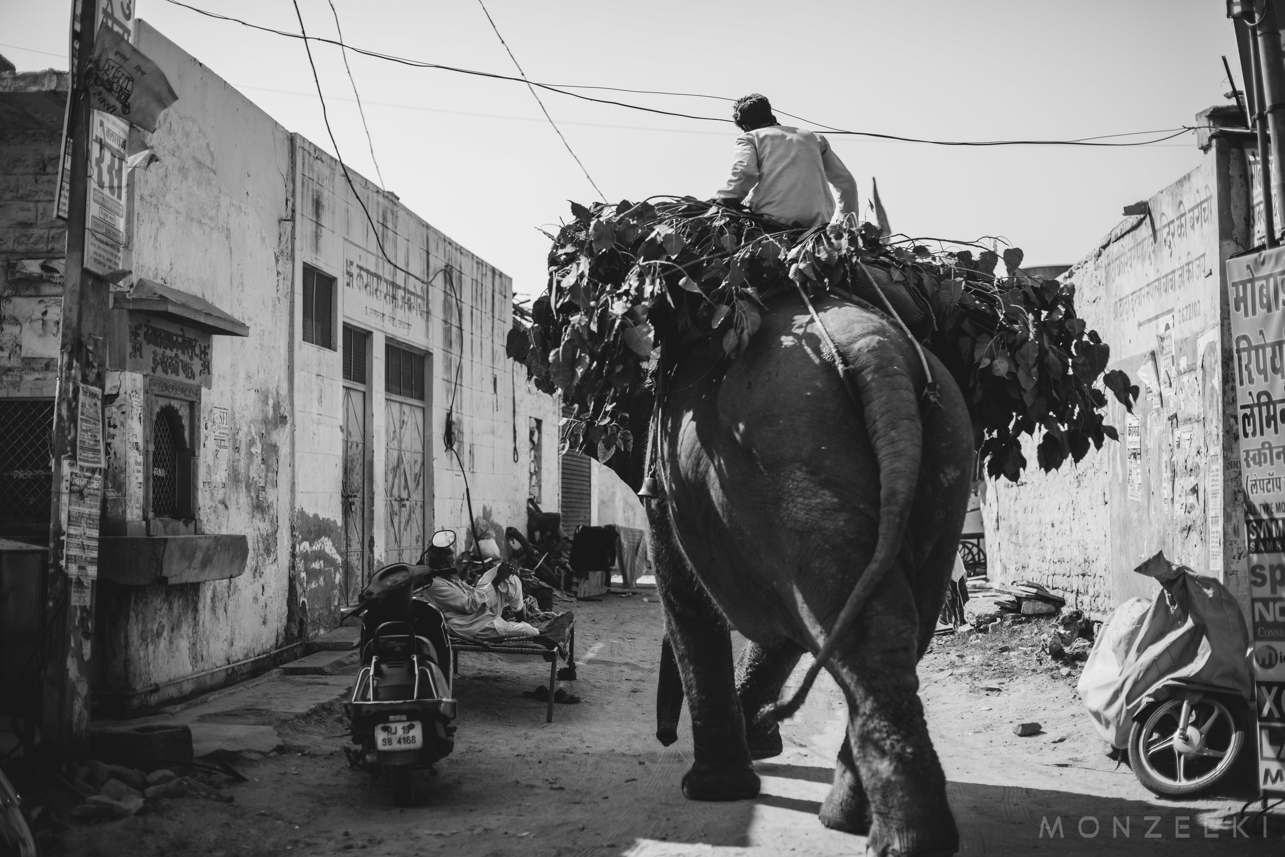 20150118-India-Jodhpur-4660.jpg