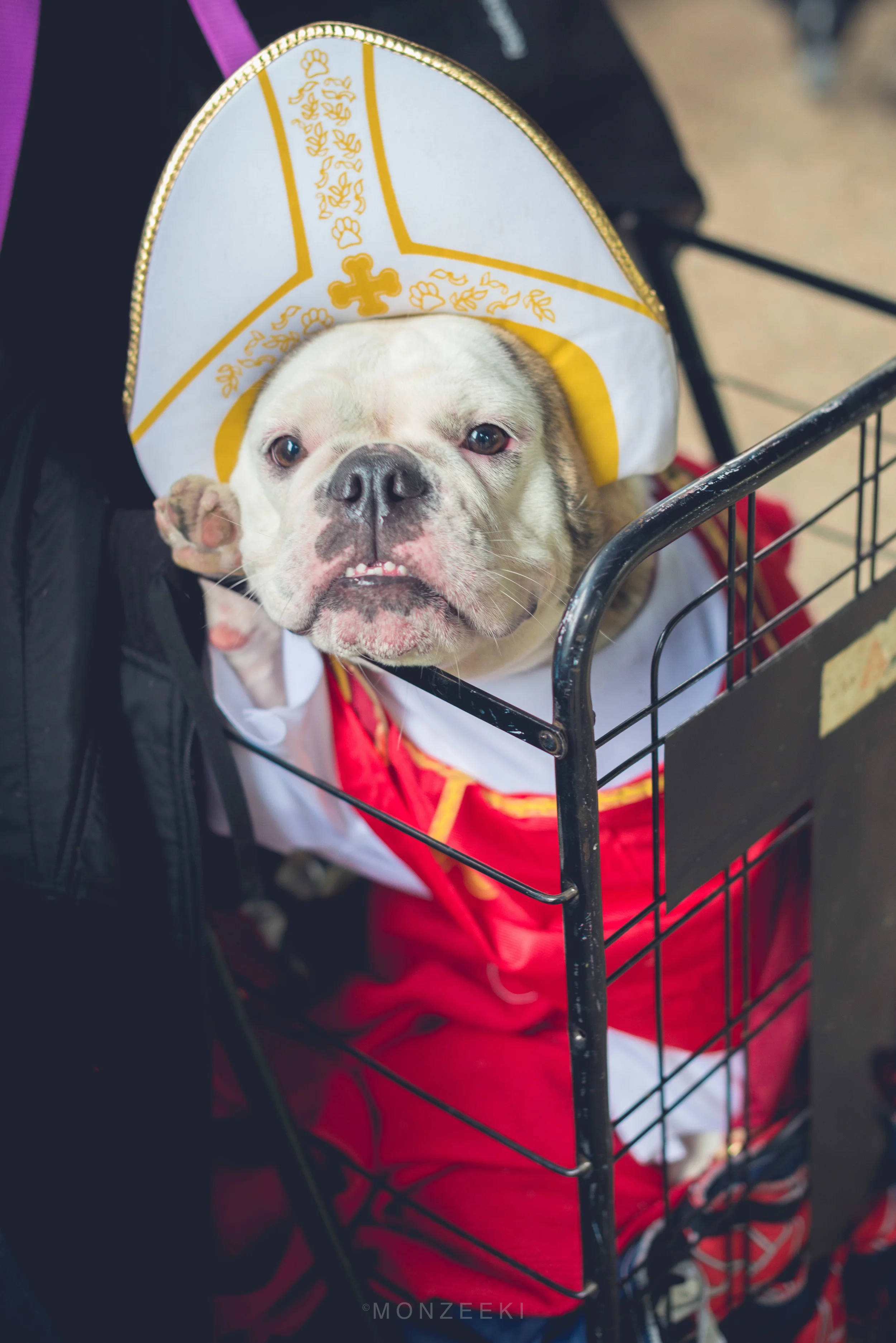 20151024-Howl-A-Ween-6929.jpg