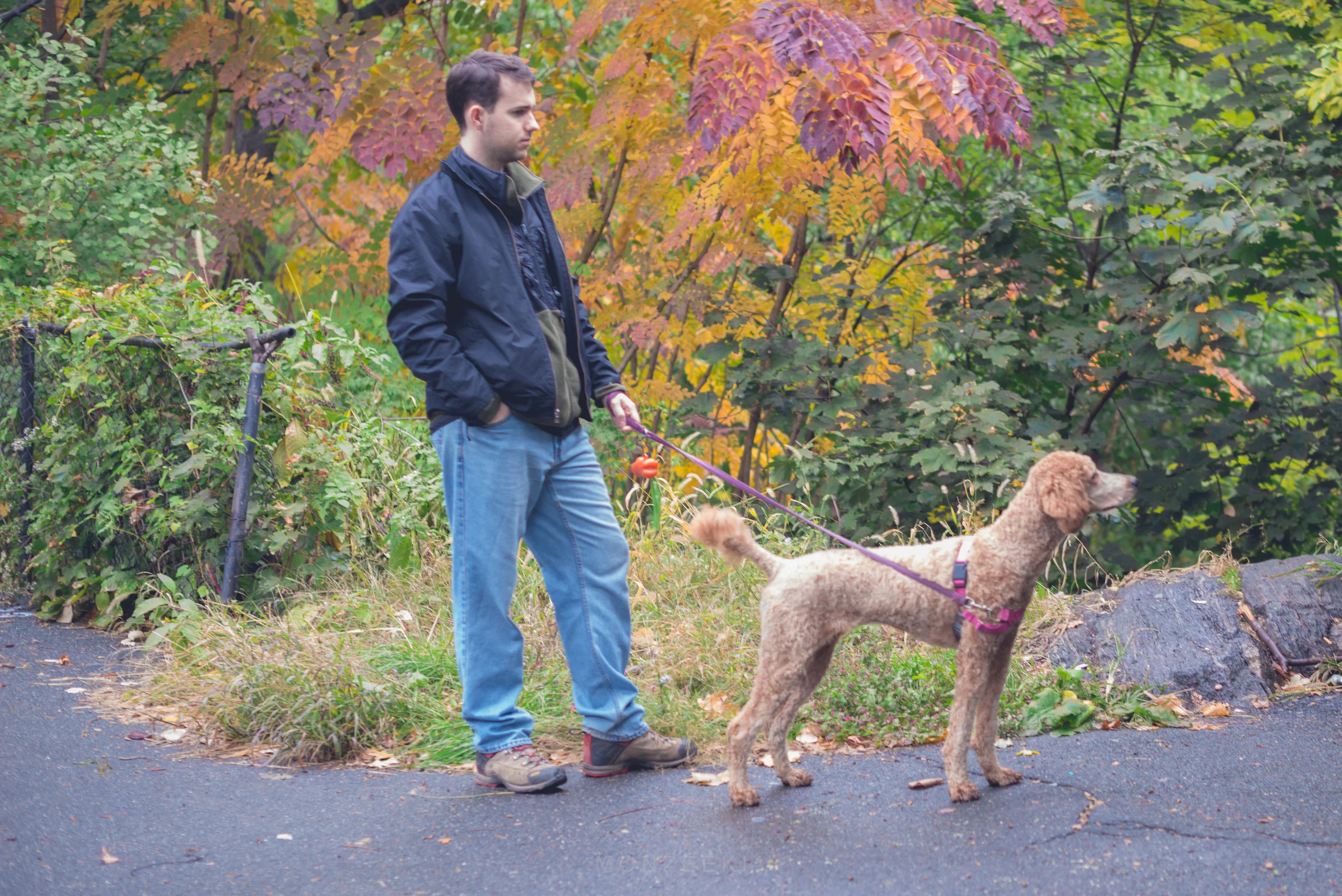 20151024-Howl-A-Ween-6996.jpg