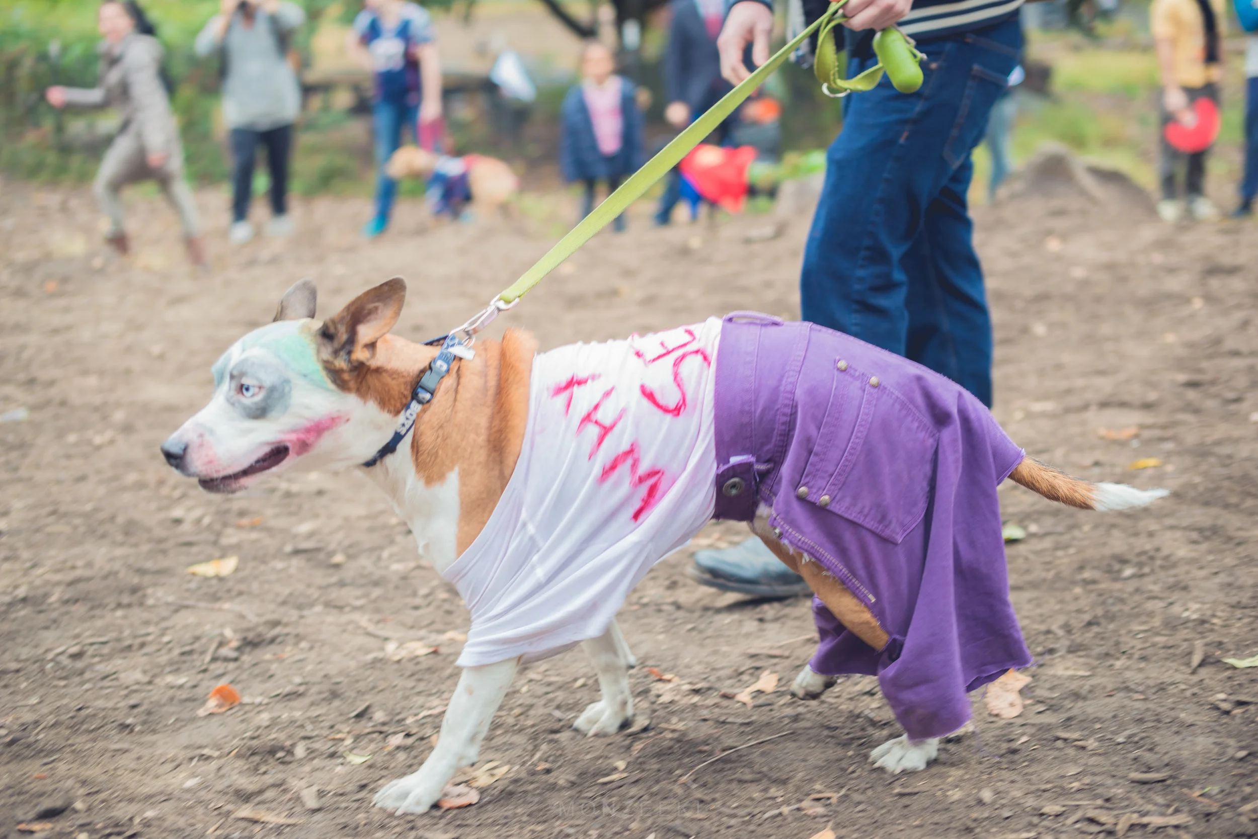 20151024-Howl-A-Ween-7285.jpg