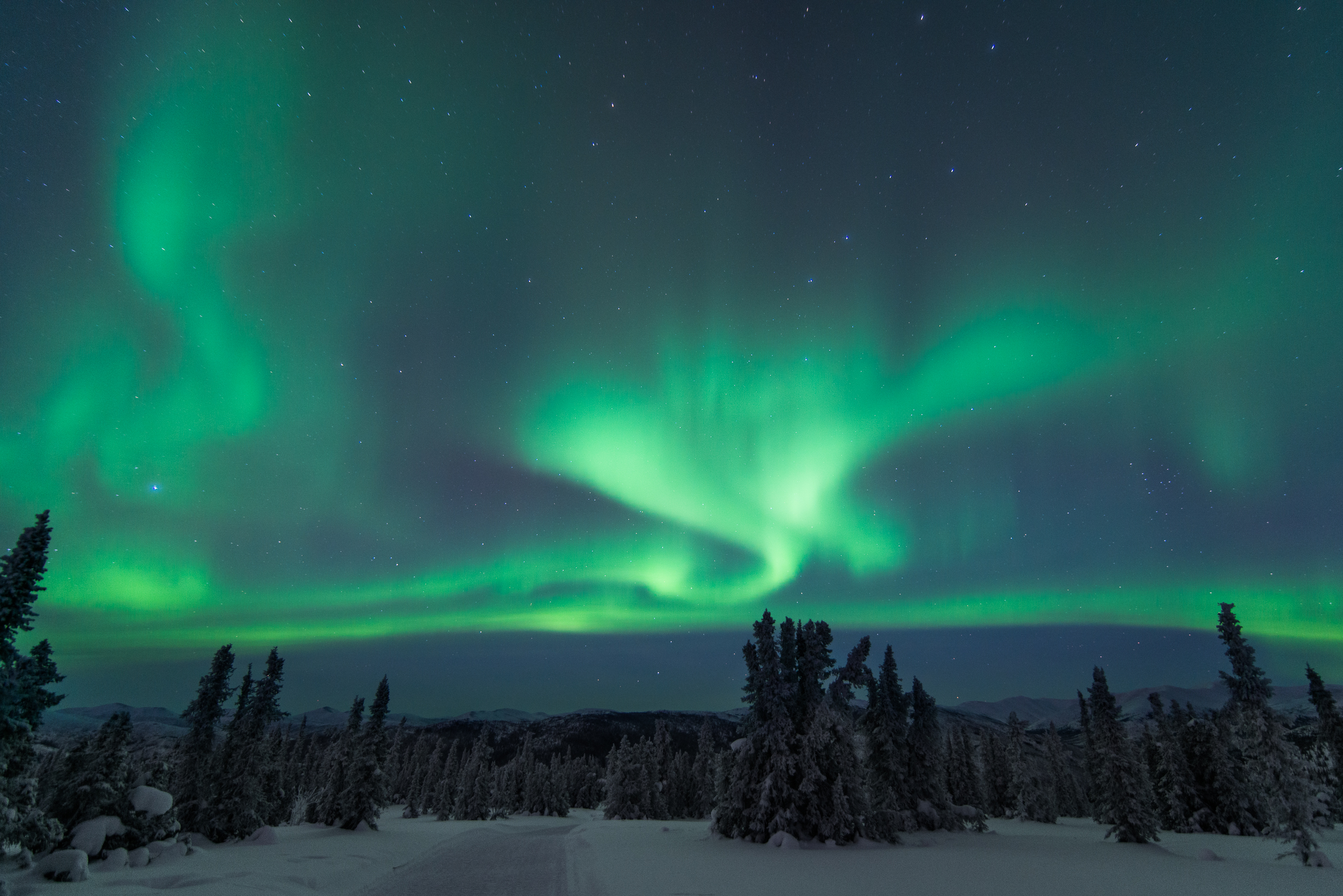 Later that night we were lucky to have a small window of clear sky in the week of crappy weather for our entire stay. The aurora borealis forecast was not good at best but we tried our luck anyway. Caught the last snow coach from Chena Hot Springs just minutes before departure and headed up to a nearby 2600 ft mountain top. The first wave appeared and we literally jumped out at the top camp and setup in a flash - and then blessed with a few waves of stunning auroras. Even took the staff by surprise. I have luck I tells ya. 