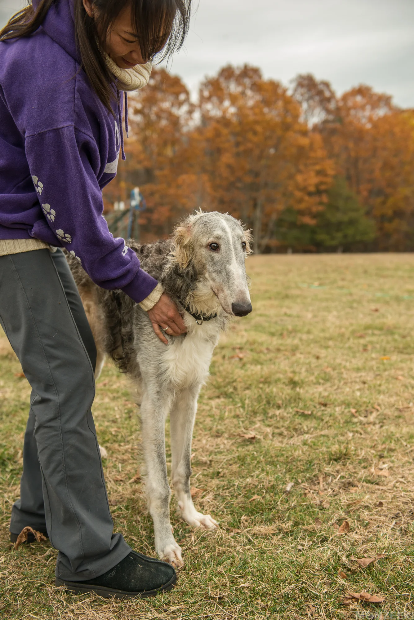 20161105-kelpie-meetup-1277.jpg