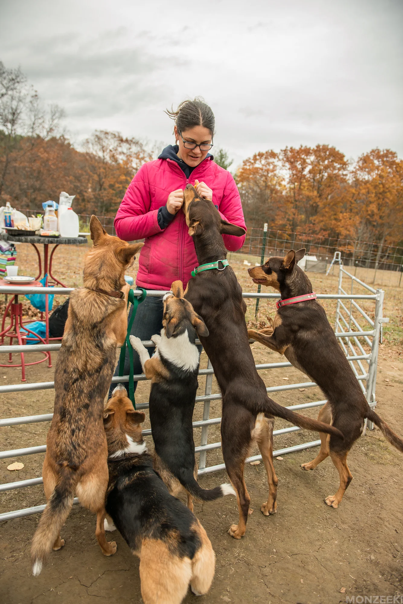 20161105-kelpie-meetup-1265.jpg
