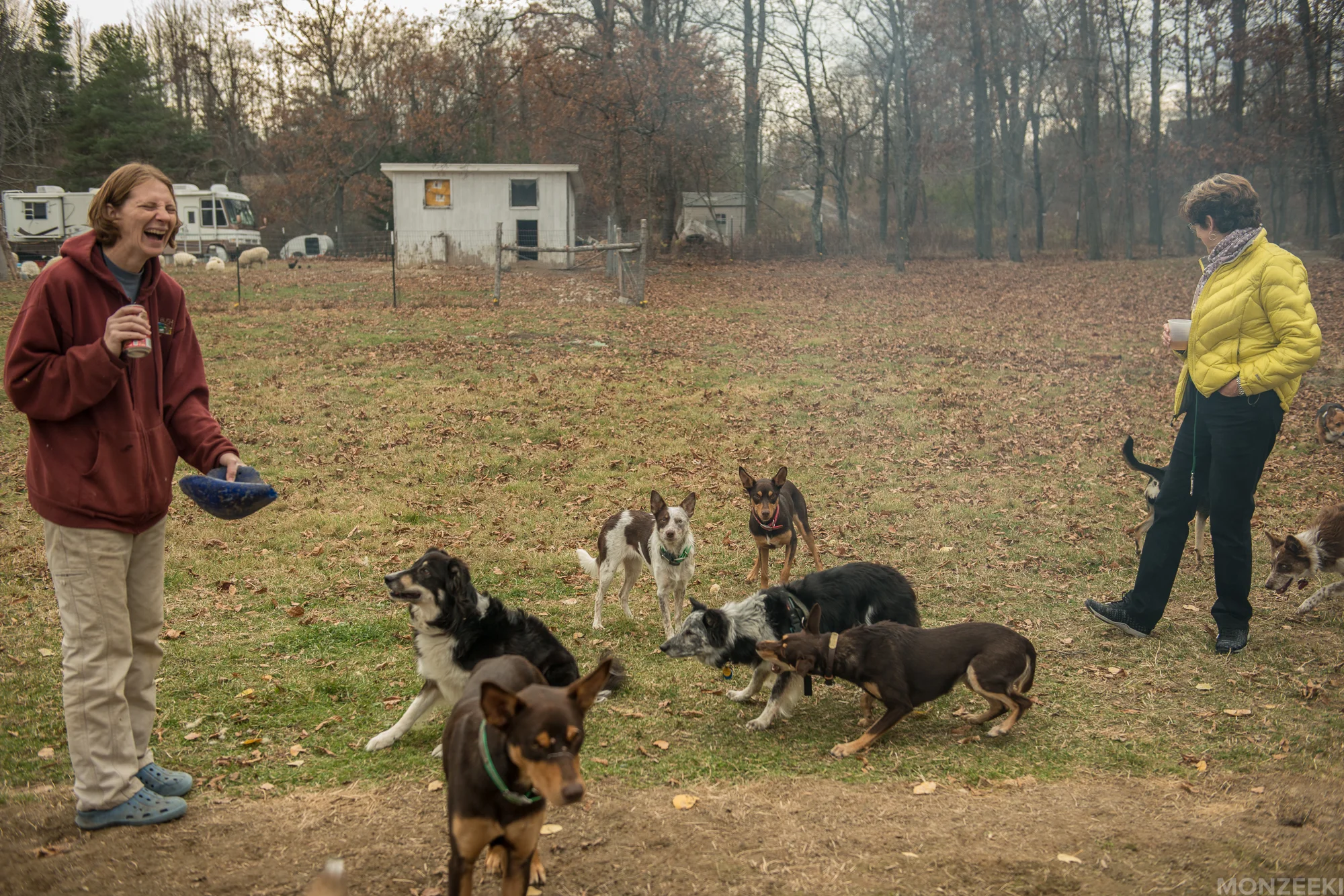 20161105-kelpie-meetup-1118.jpg
