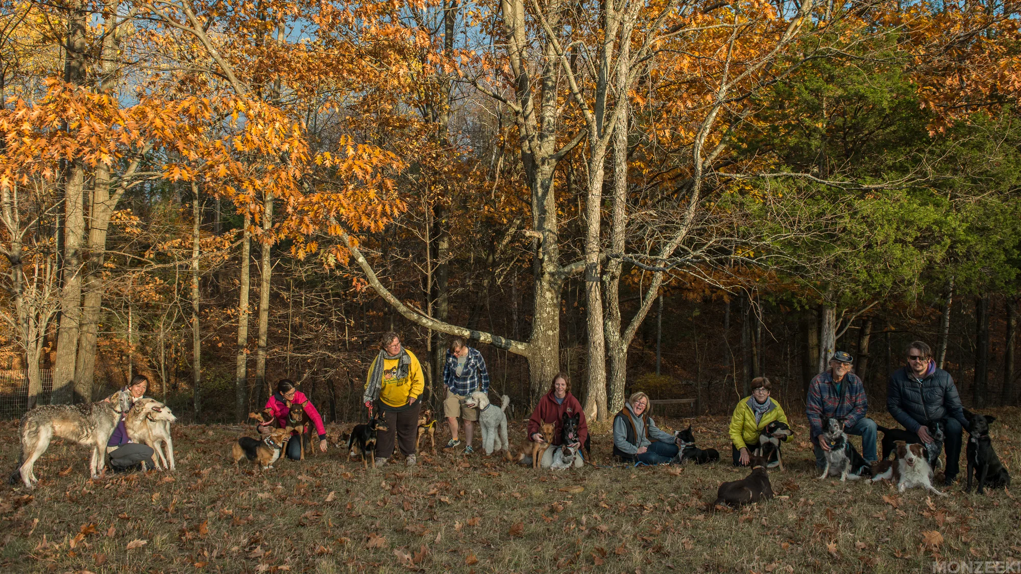 20161105-kelpie-meetup-1564.jpg