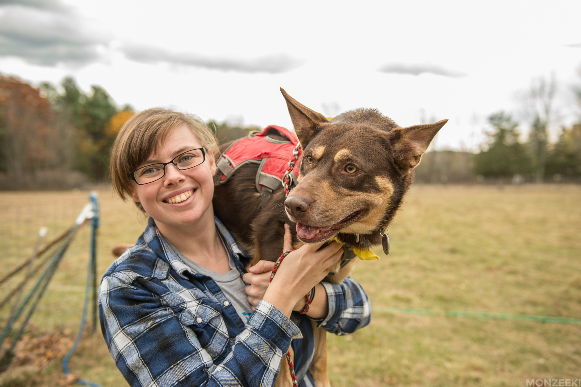 northeast kelpie meet-ups