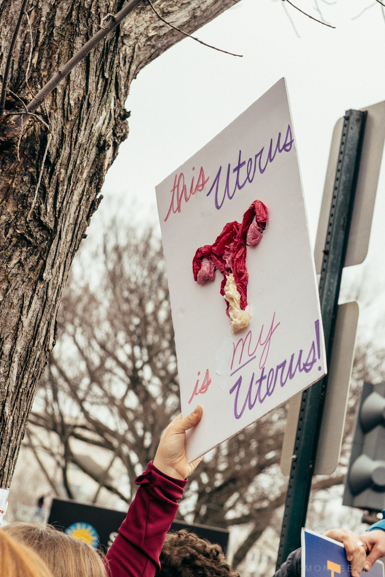 20170120-womens-march-dc-2363.jpg