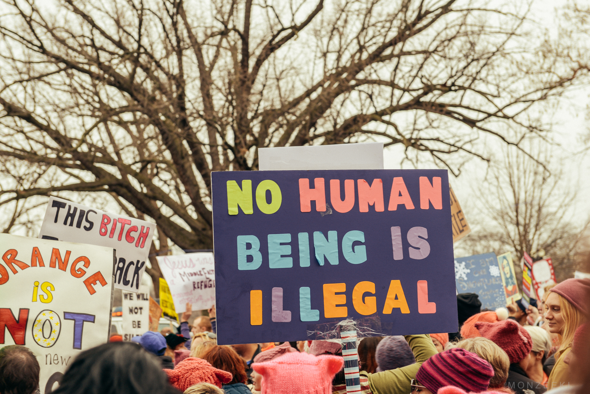 20170120-womens-march-dc-2390.jpg