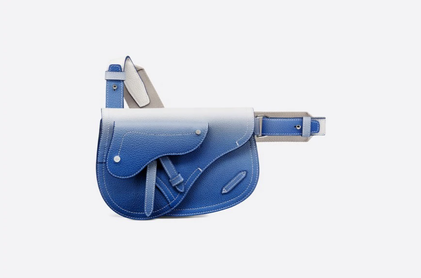 Dior Gradient Leather Saddle Pouch