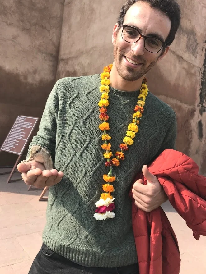 adar+3.jpg