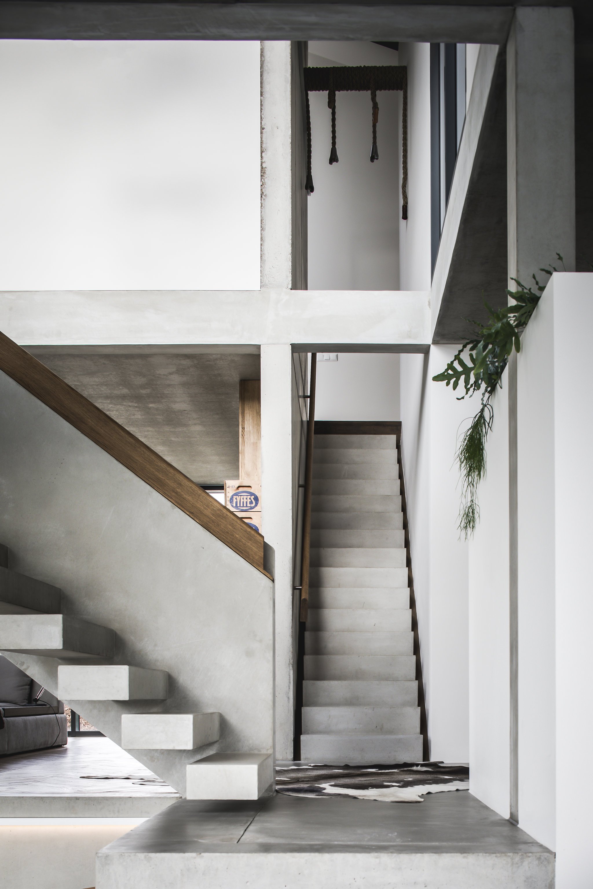 Loft style interior with concrete staircase and open upper level, white walls, and minimal decor including a hanging rope decoration and a potted plant.