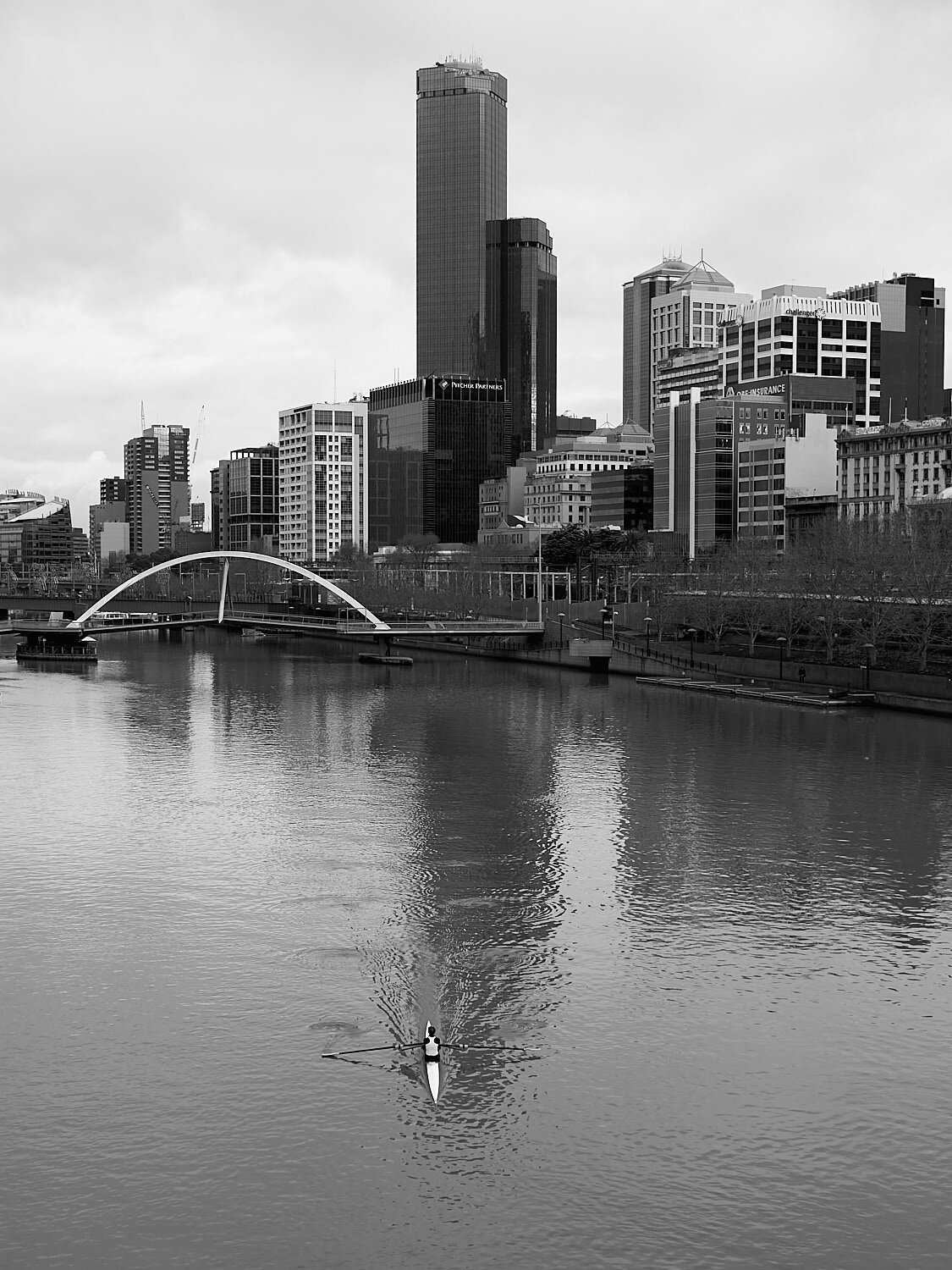 Rower on the Yarra