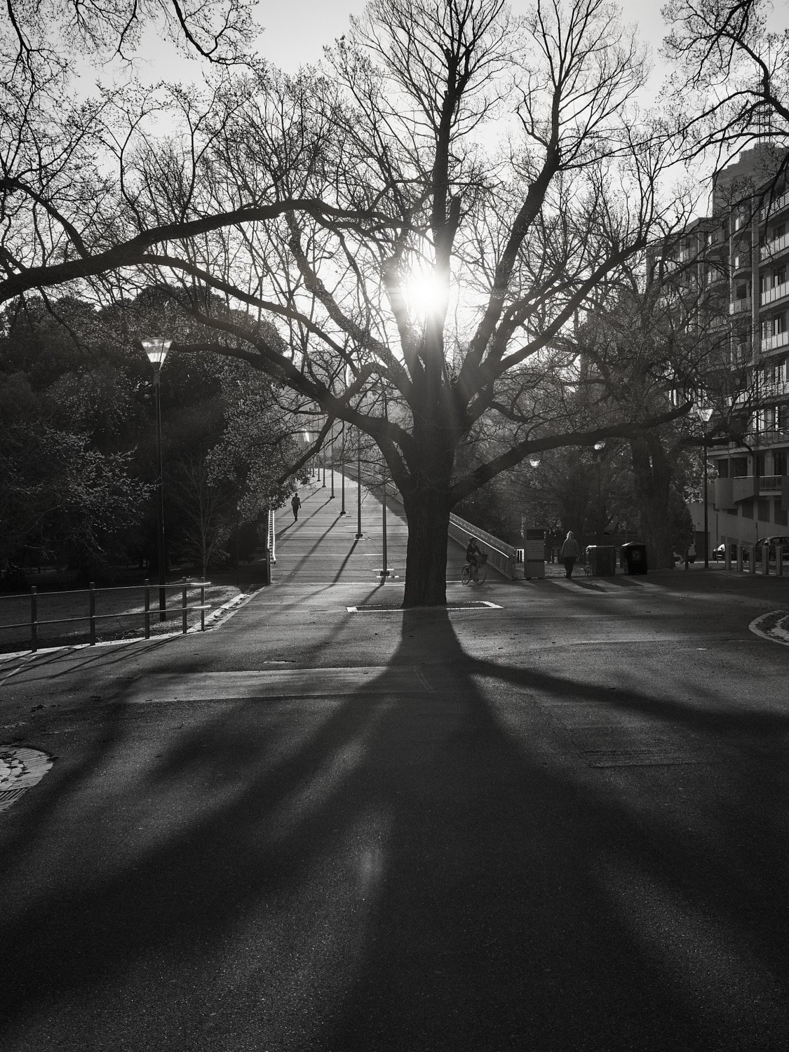  Birrarung Marr 