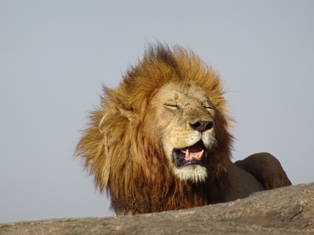 Africa – August 2015
