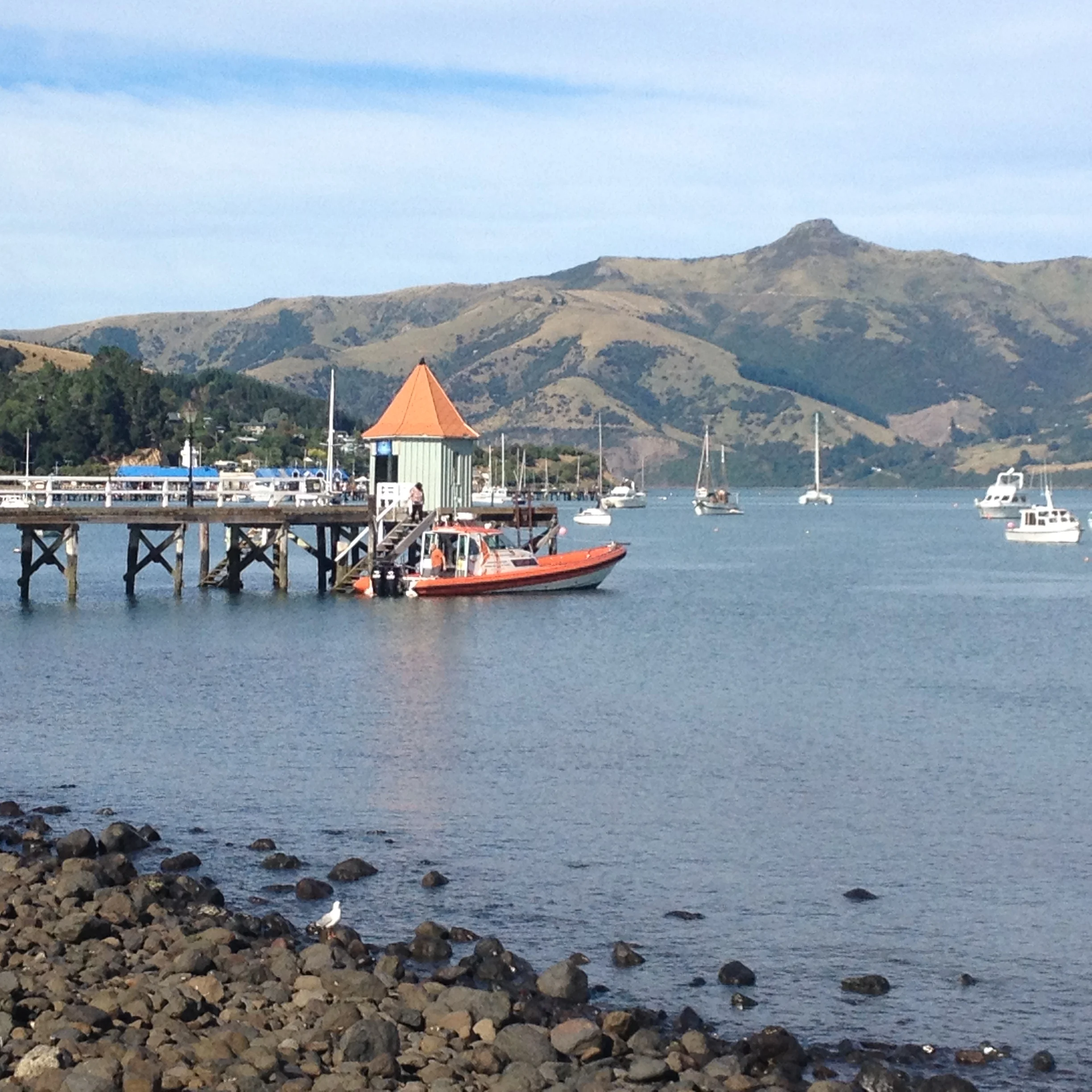 Marlborough, NZ: Ceri