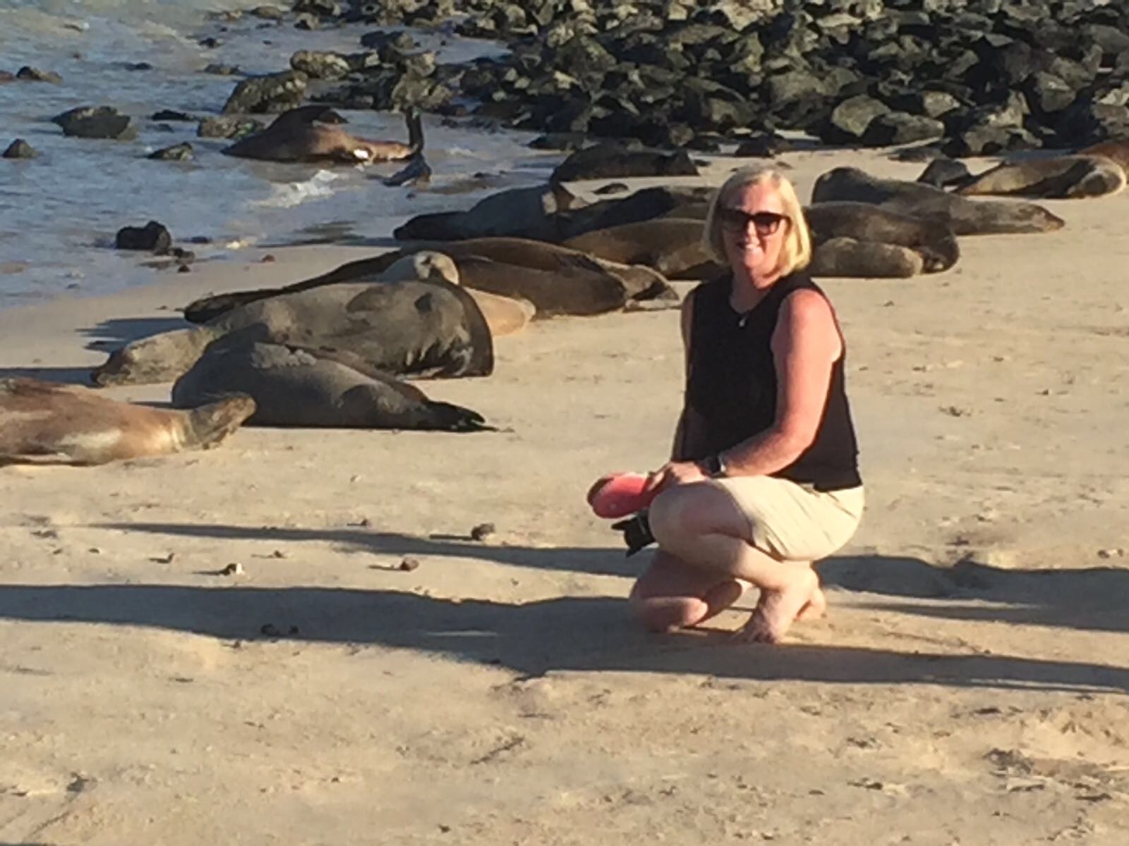 Santa Fe Island Galapagos, Ecuador - March 2017