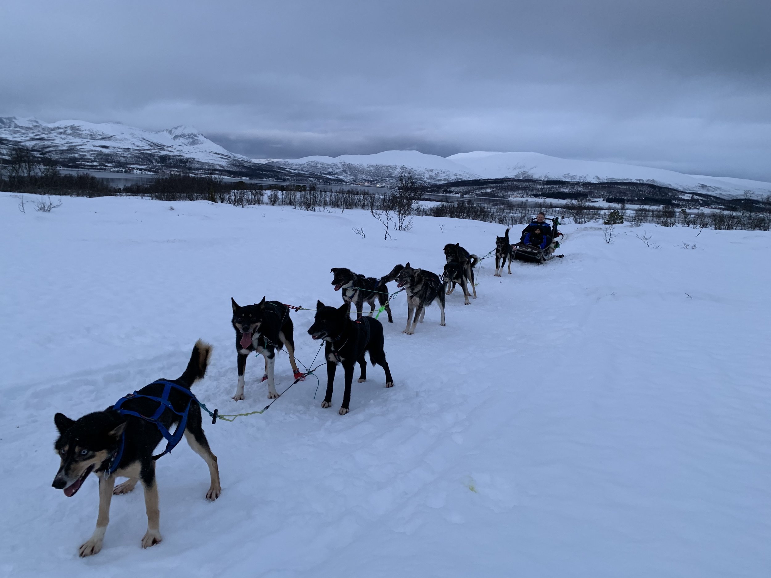 Tromso, Norway - December 2018
