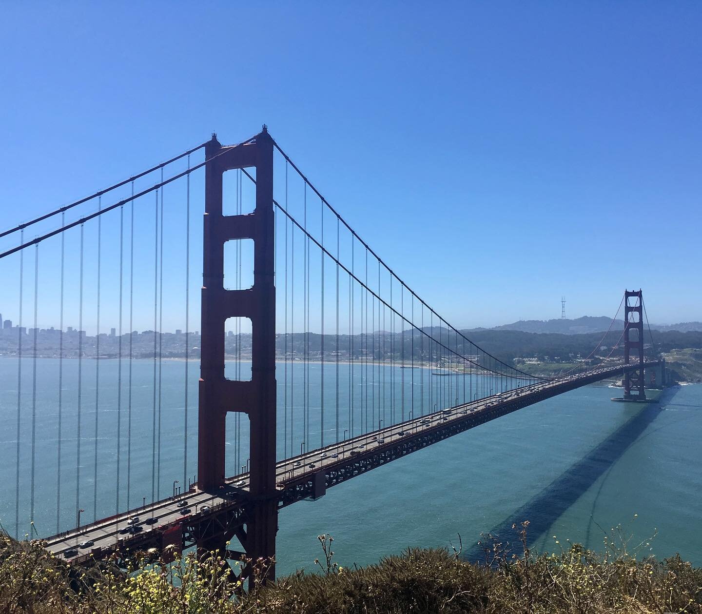 We&rsquo;re so happy that the USA is the latest country to drop their pre-travel Covid testing 👏🇺🇸 

#travelisback #californiadreaming #goldengatebridge #travelphotography