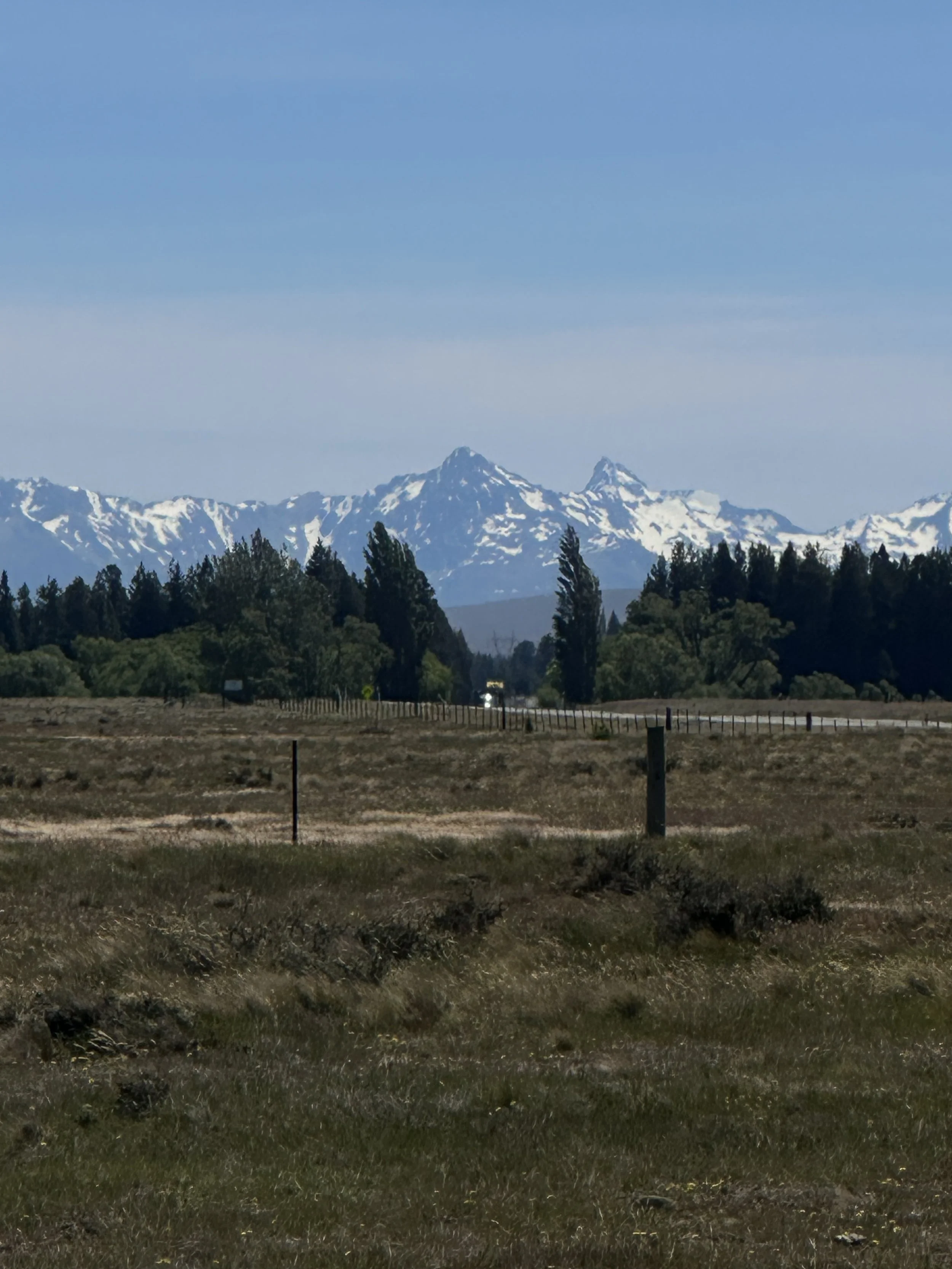 IMG_4748.jpeg