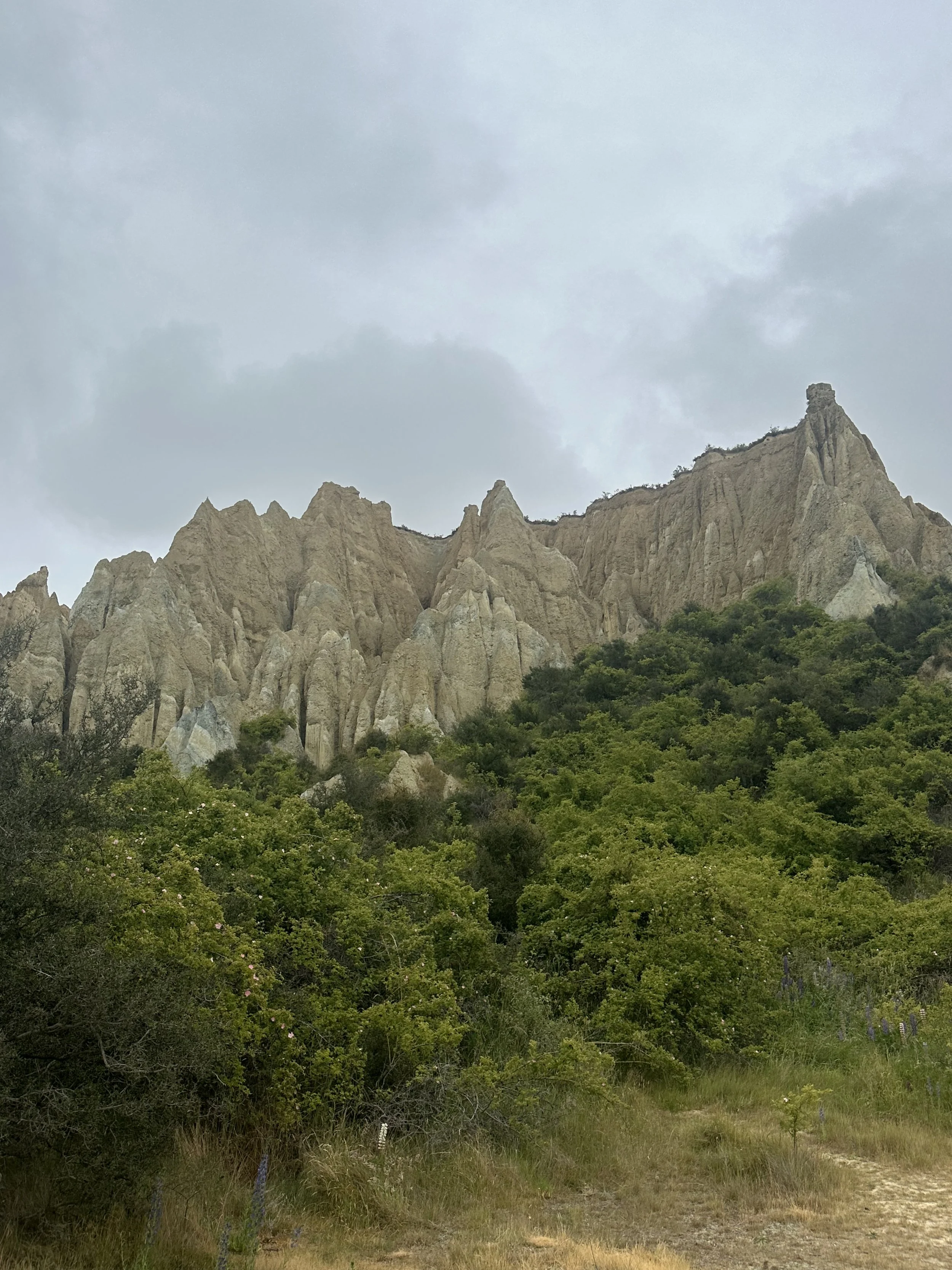 IMG_5400.jpeg