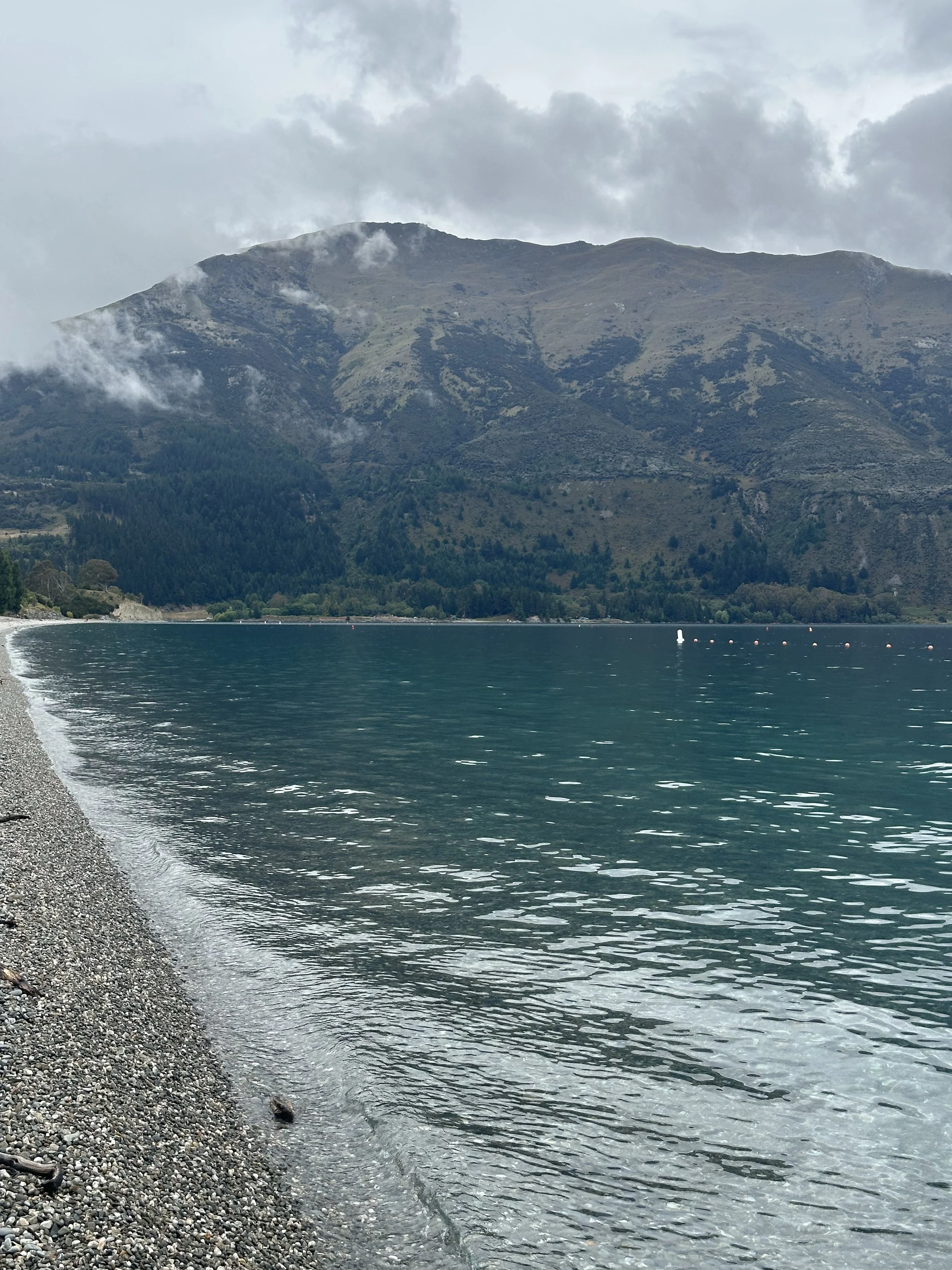 IMG_5536.jpeg